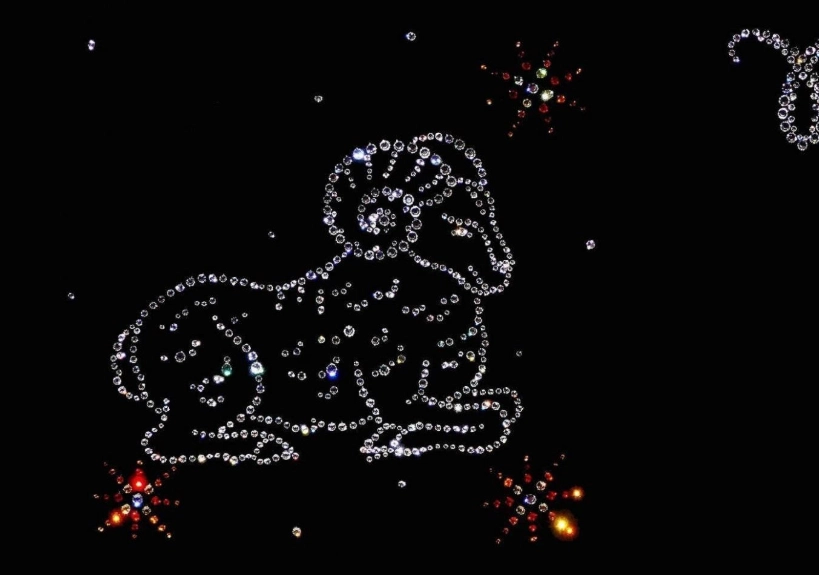 Aries zodiac sign Aries zodiac sign