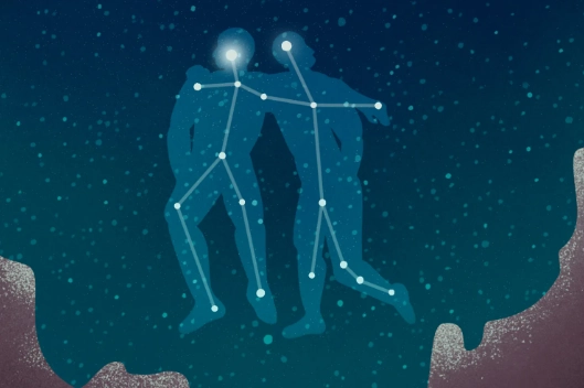 Gemini compatibility