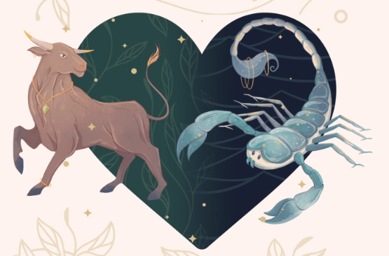 Scorpio Taurus relationship