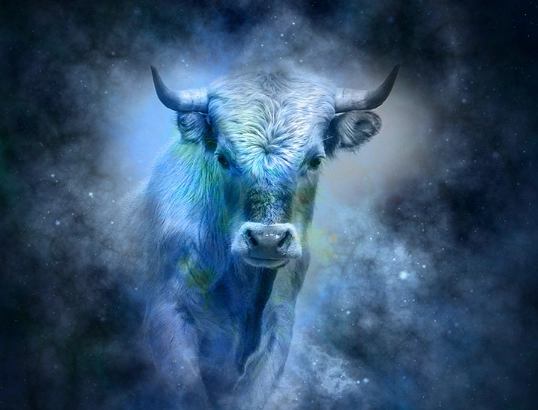 Taurus zodiac sign