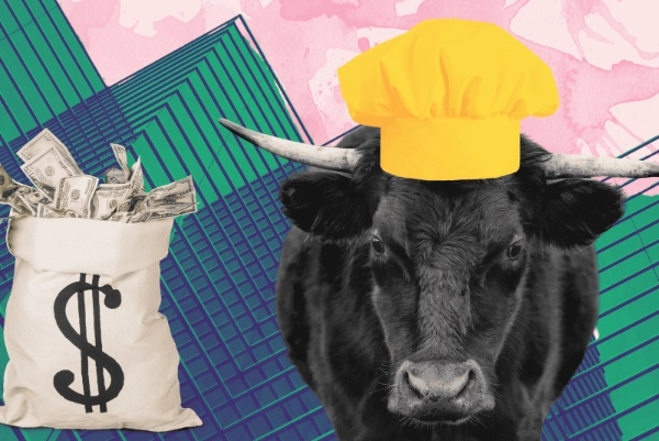 Best Careers for Taurus Rising: A Practical Astrology Guide