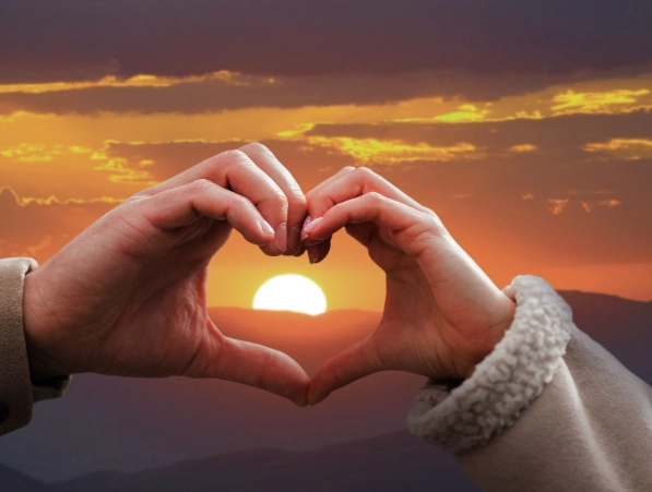 Best match for Taurus