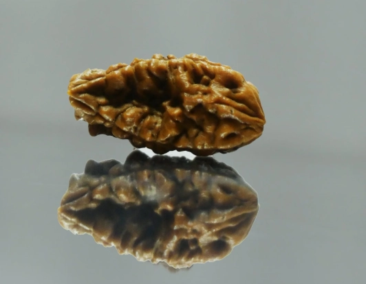 Gemini personality flaws