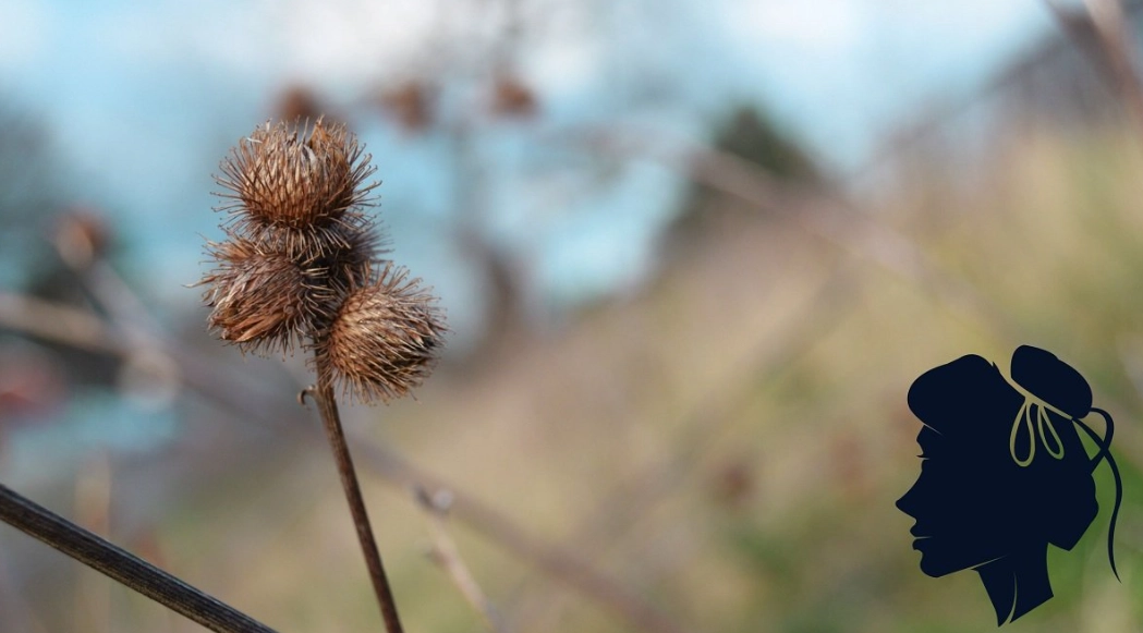 Virgo zodiac sign flaws