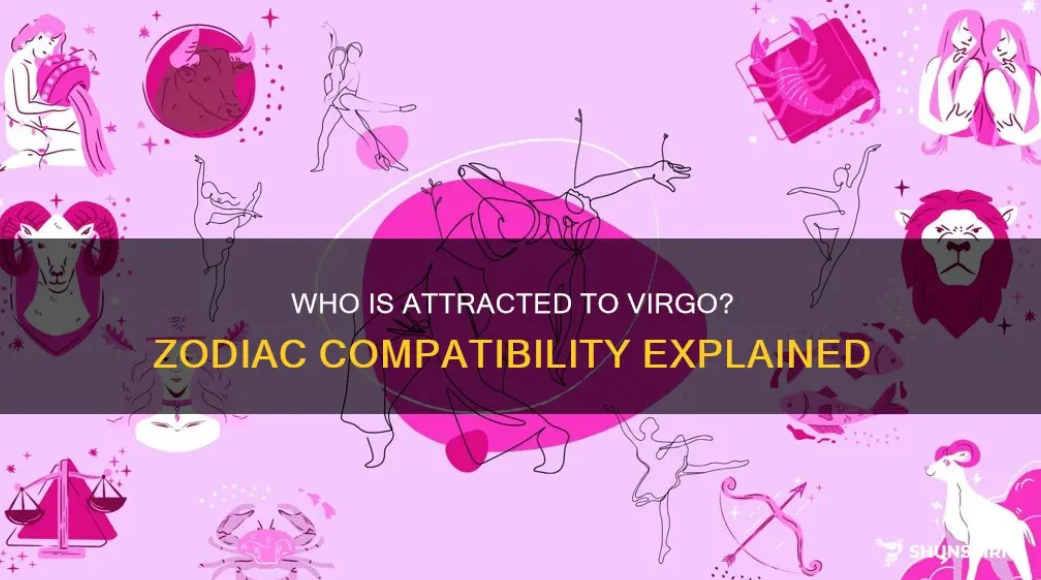 virgo compatibility virgo compatibility