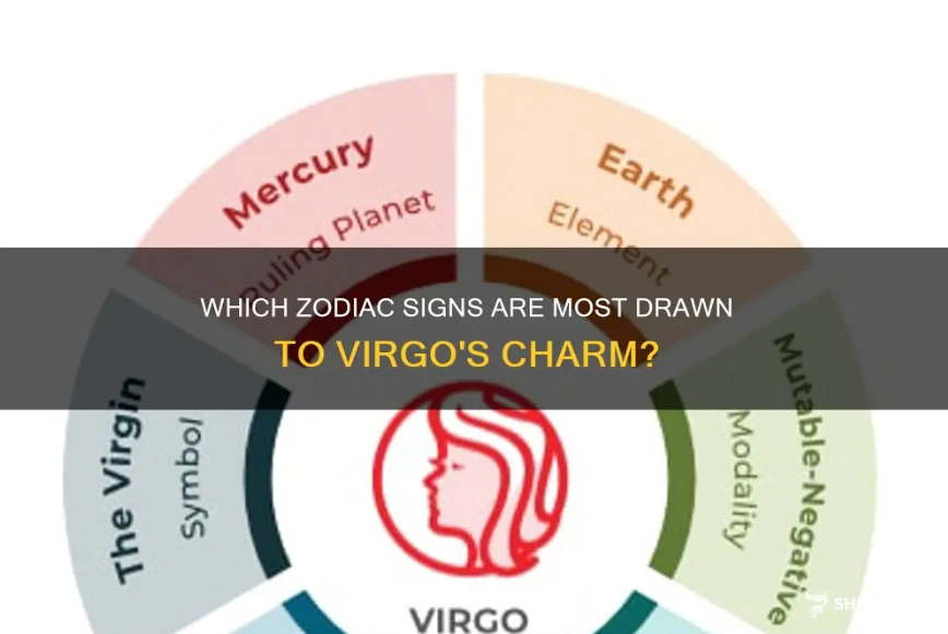 virgo compatibility