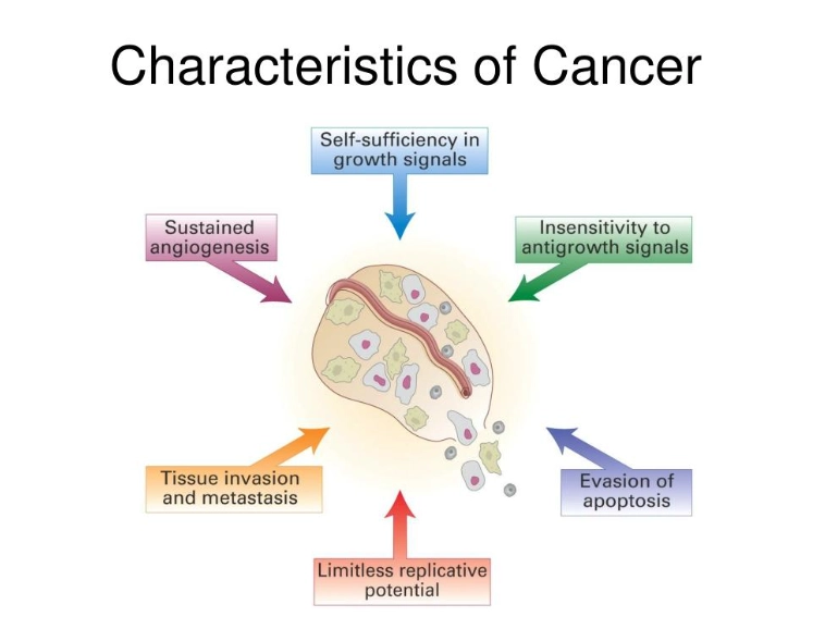 cancer woman personality