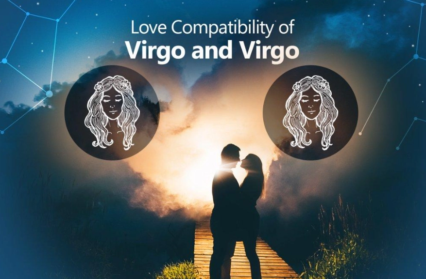 virgo compatibility