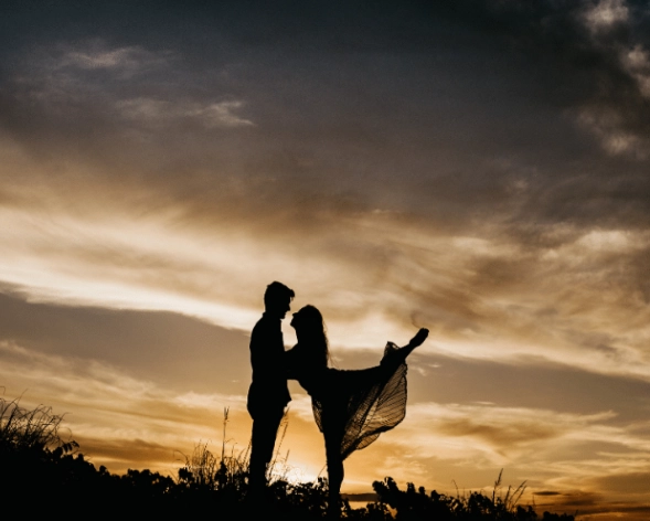 Gemini compatibility