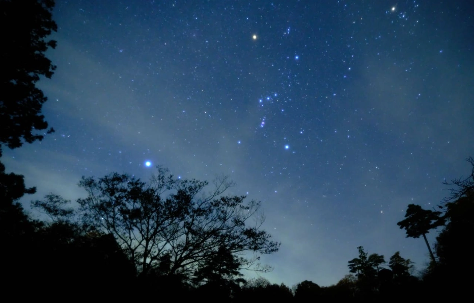 Cancer zodiac sign male