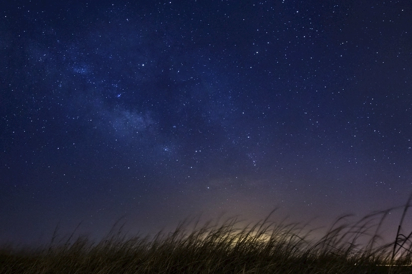 Cancer male characteristics