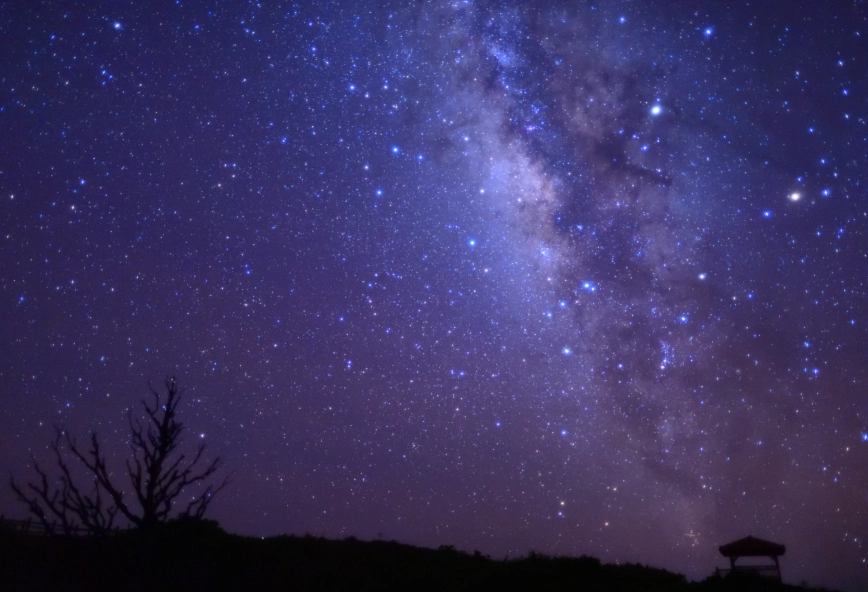 Scary Facts About Taurus Woman: The Dark Side of the Bull